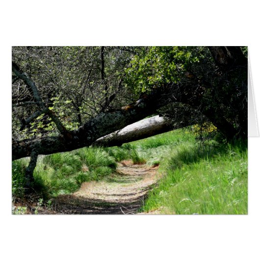 Blank Card, Spring Footpath (Front Horizontal)