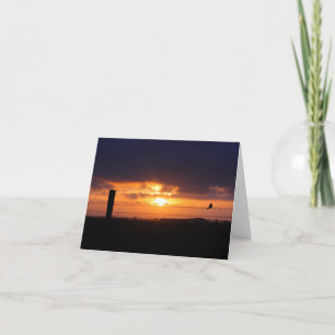 Blank Card, Sunrise Card