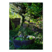 Blank Card, Viola Garden (Front)