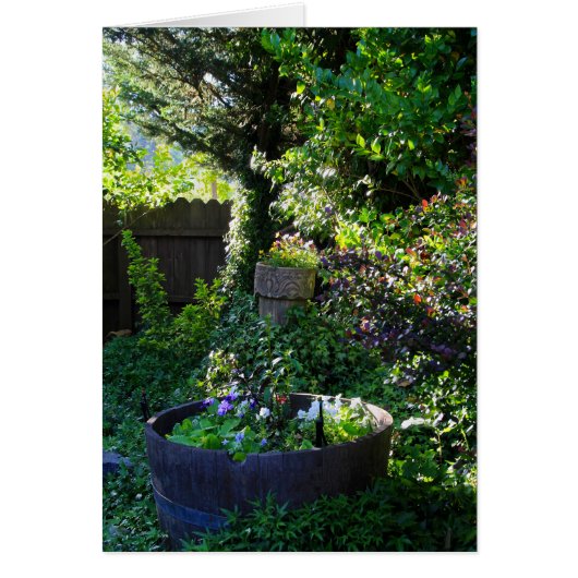Blank Card, Viola Garden Cards (Front)