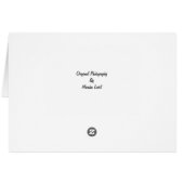 Blank Card with Adorable Orange Tabby Kitten (Back Horizontal)