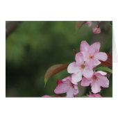 Blank Card with Crab Apple Blossoms Background (Front Horizontal)