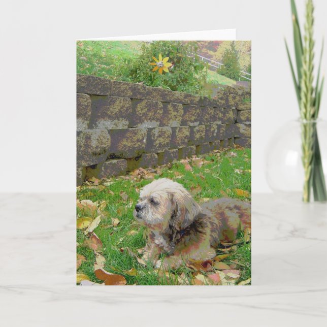 Blank card with Foster (Front)