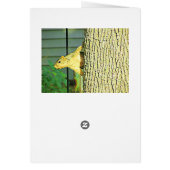 Blank Card with Funny Lazy Squirrel in a Tree (Back)