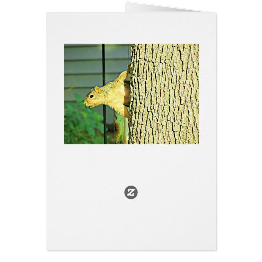 Blank Card with Funny Lazy Squirrel in a Tree (Back)