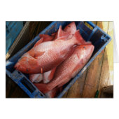 Blank Card with Red Snapper Background (Front Horizontal)