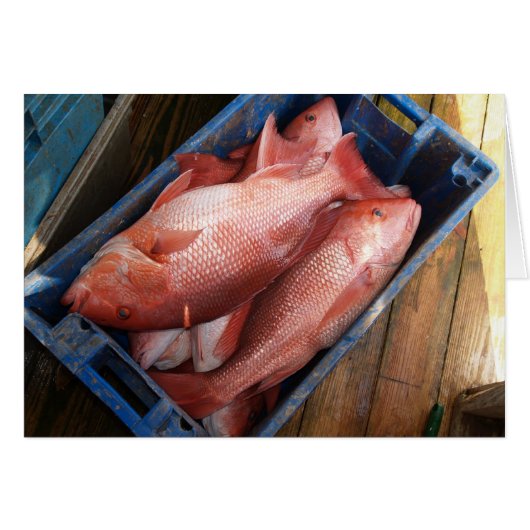 Blank Card with Red Snapper Background (Front Horizontal)