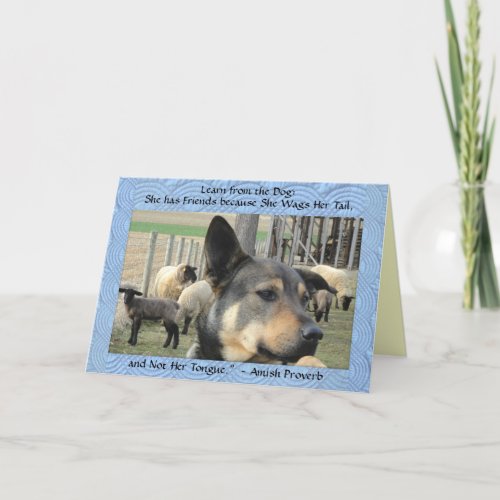 Blank Cards Dog Proverb Thank You Card