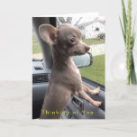 Blank Chihuahua greeting card