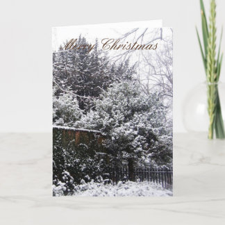 blank christmas card