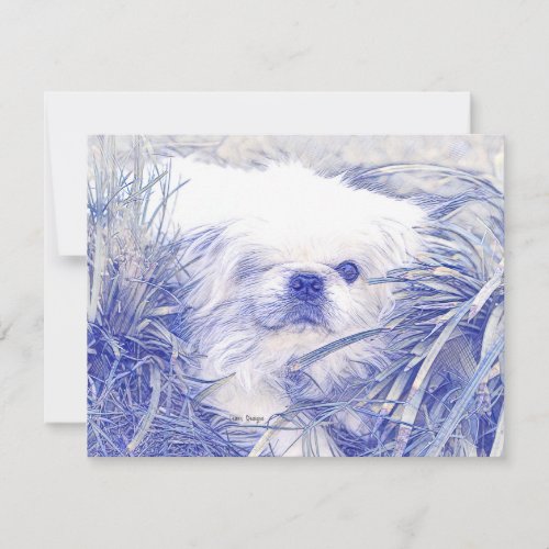 Blank Correspondence Cards featPeter Rottentail