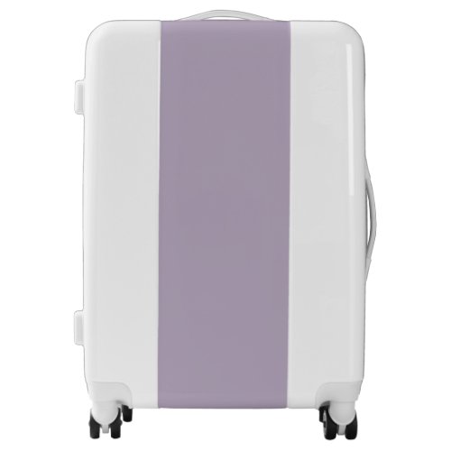 Blank Create Your Own Paper Luggage