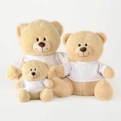 Blank Create Your Own Paper Teddy Bear