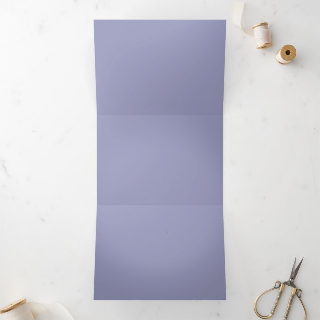 Blank Create Your Own Paper Tri-Fold Invitation (Inside)