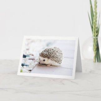 Blank Cute Hedgehog greeting card