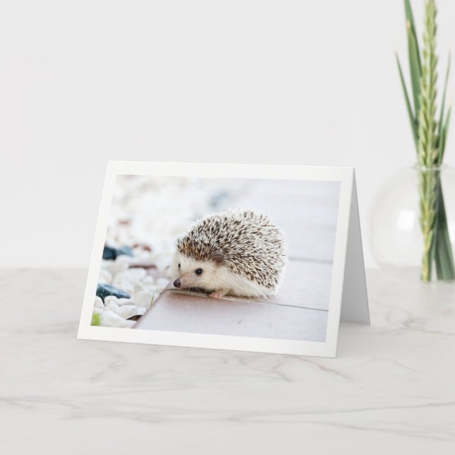 Blank Cute Hedgehog greeting card (Front)