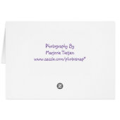 Blank Elderberry Recipe Note Card (Back Horizontal)