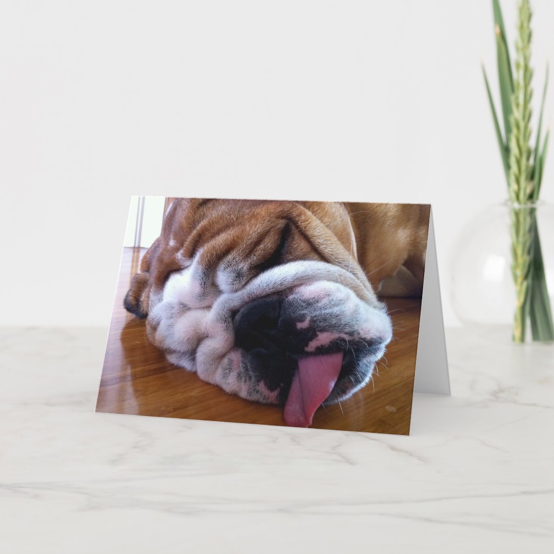 Blank English Bulldog Greeting Card | Zazzle