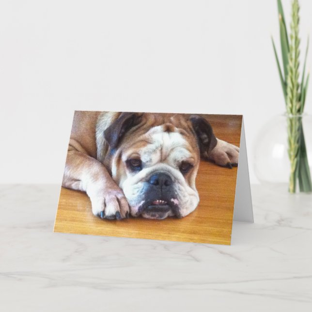 Blank English Bulldog Greeting Card (Front)