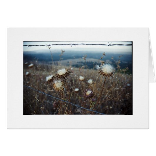 blank floral (Front Horizontal)