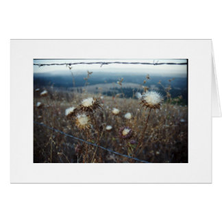 blank floral cards