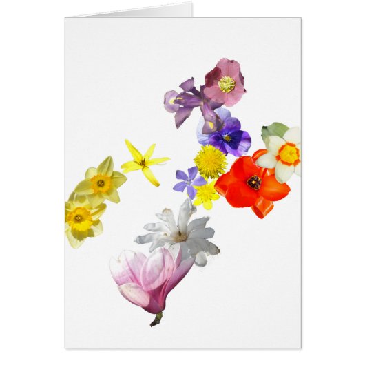 Blank flower card (Front)