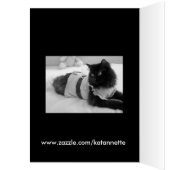 blank for message (Inside (Left))