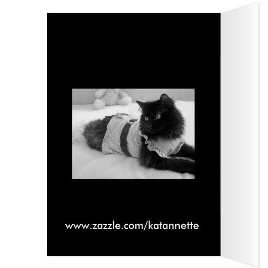 blank for message (Inside (Left))