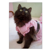 blank for message (Front)