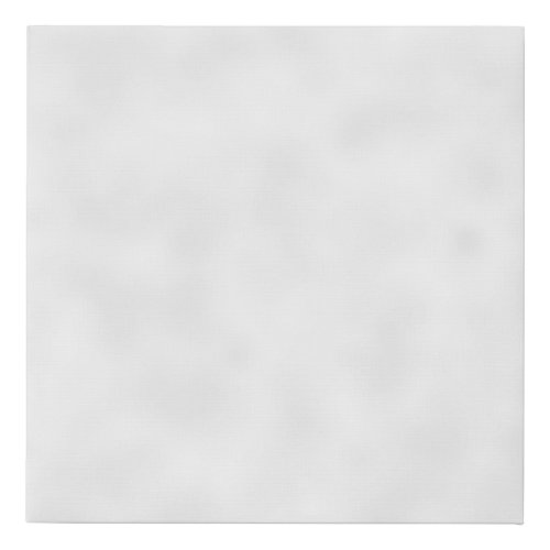 Blank For You To Customize _ Faux Canvas Print