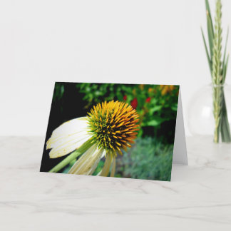 Blank Greeting Card