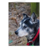 Blank greeting card (Front)