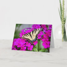 Blank Greeting Card