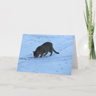 Blank Greeting Card