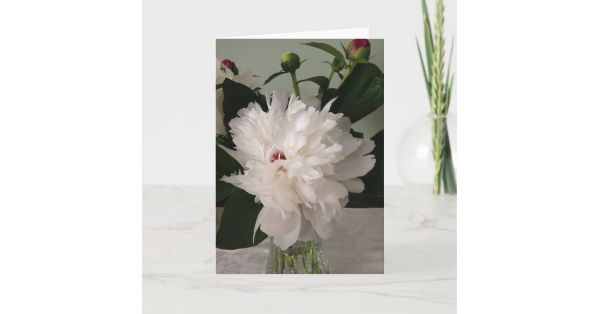 Blank Greeting Card