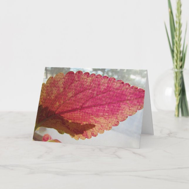 Blank Greeting Card (Front)