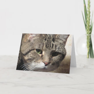 Blank Greeting Card