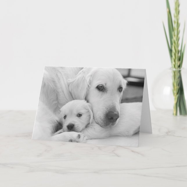 Blank Greeting Card (Front)