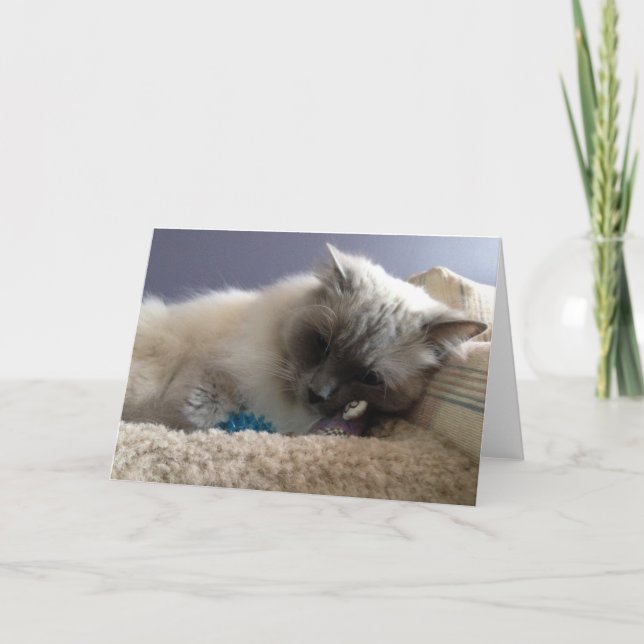 Blank Greeting Card (Front)
