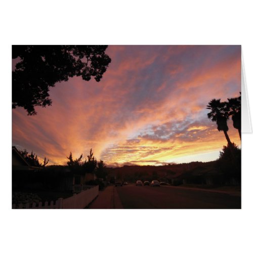 Blank Greeting Card: Bright Sunset Framed by Trees Card