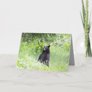 Blank greeting card featuring Black bear