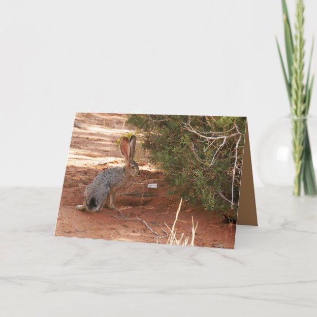 Blank Greeting card featuring Jackrabbit in Desert (Front)