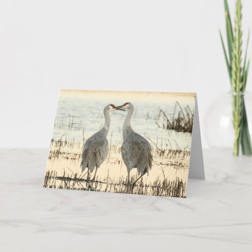 Blank Greeting Card featuring Sandhill Cranes