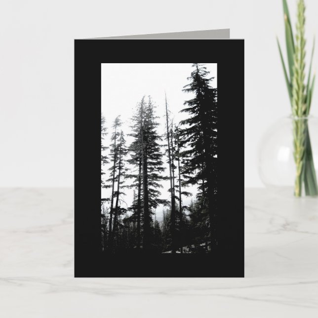 blank greeting card note B & W photo pine trees (Front)
