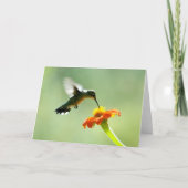 Blank greeting card with hummingbird and flower | Zazzle