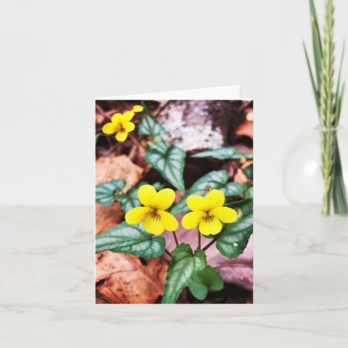 Blank greeting card with nature theme