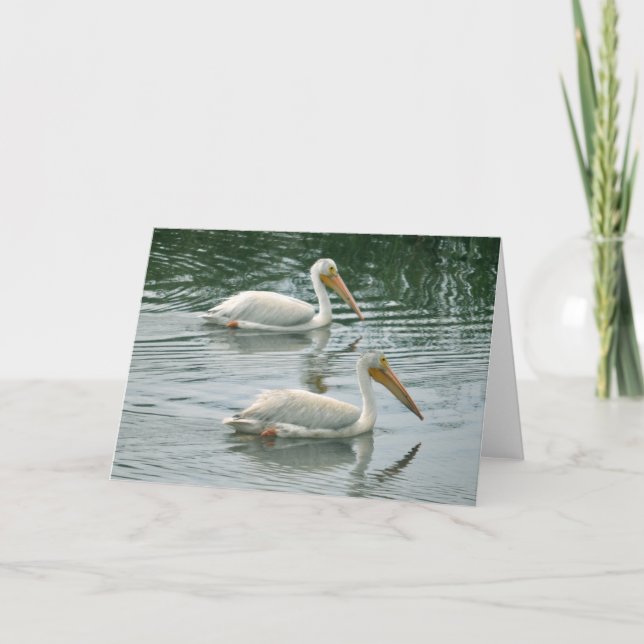 Blank Greeting Card with Pelican photo (Front)