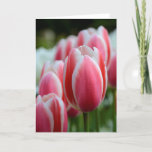 Blank Greeting Card With Pink Tulips at Zazzle