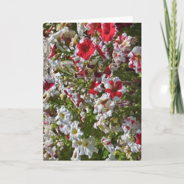 Blank greeting card with red and white flowers (Front)