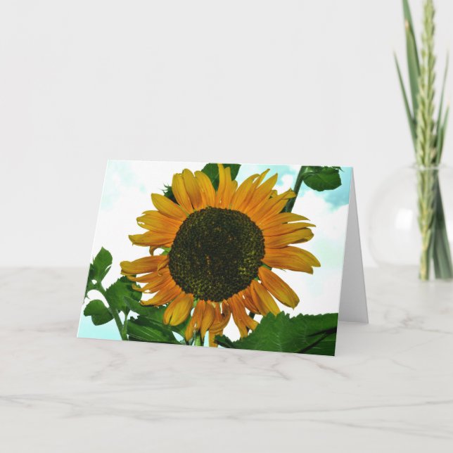 Blank greeting card with Sunflower photo (Front)